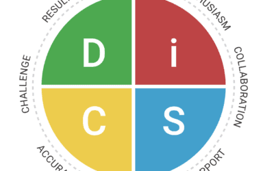 Using the DISC Assessment with Families
