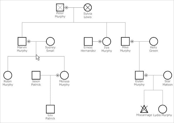 Example of a classic family genogram