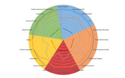 A 5 Capitals Self-Assessment Tool